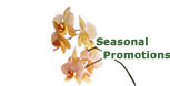 Seasonal Promotions