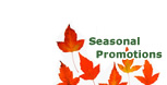 Seasonal Promotions